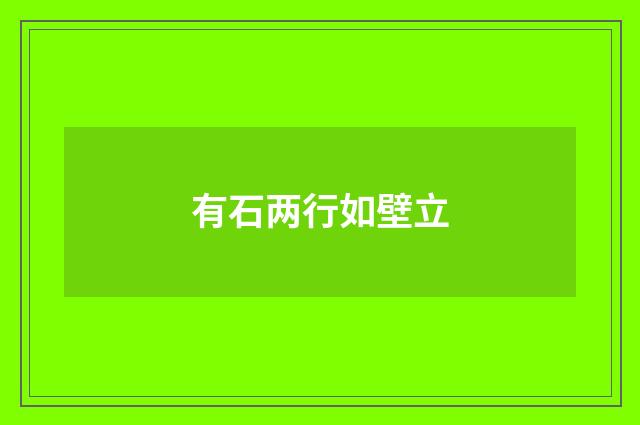 有石两行如壁立
