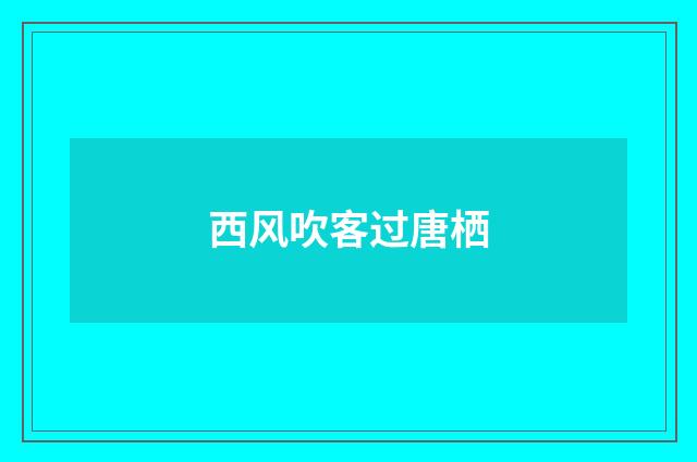 西风吹客过唐栖