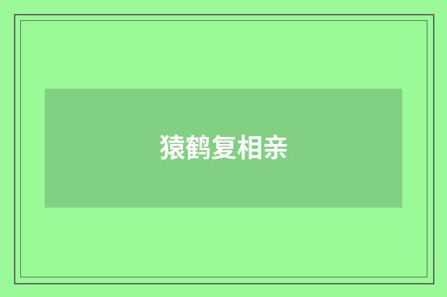 猿鹤复相亲