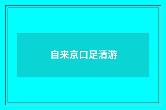 自来京口足清游