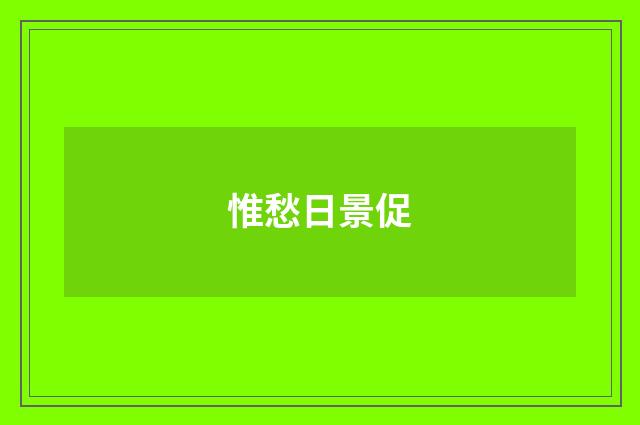 惟愁日景促