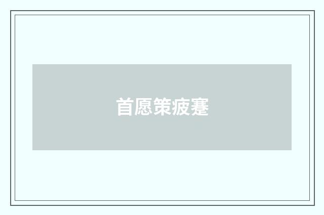 首愿策疲蹇