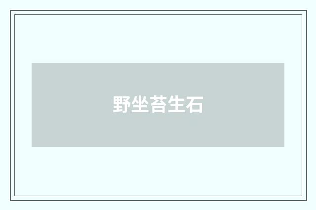 野坐苔生石