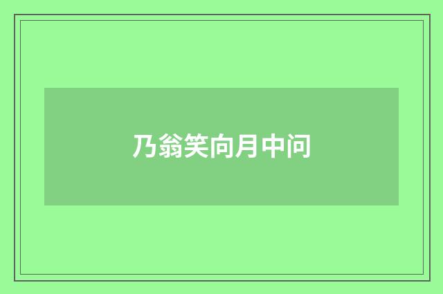 乃翁笑向月中问