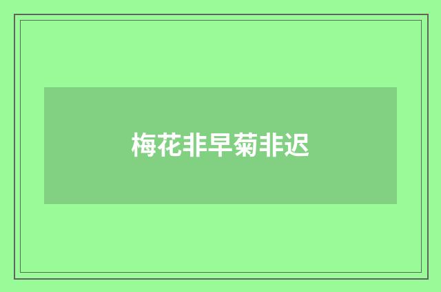 梅花非早菊非迟