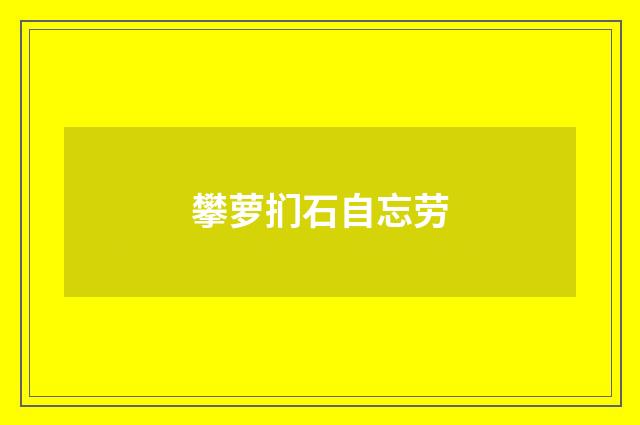 攀萝扪石自忘劳
