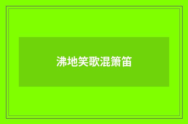 沸地笑歌混箫笛