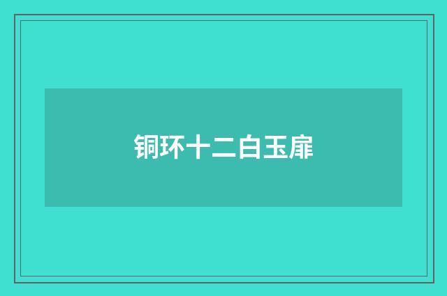 铜环十二白玉扉