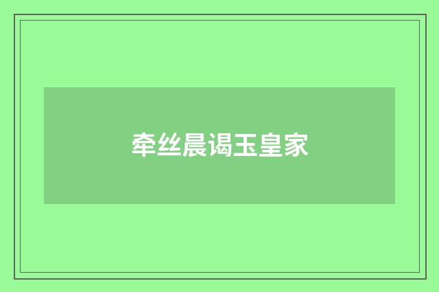 牵丝晨谒玉皇家