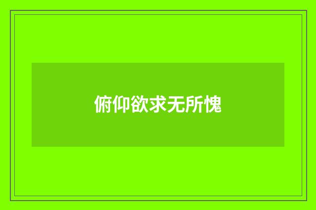 俯仰欲求无所愧
