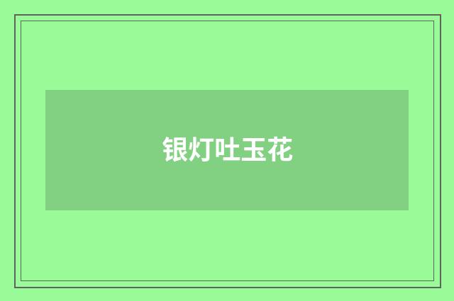 银灯吐玉花