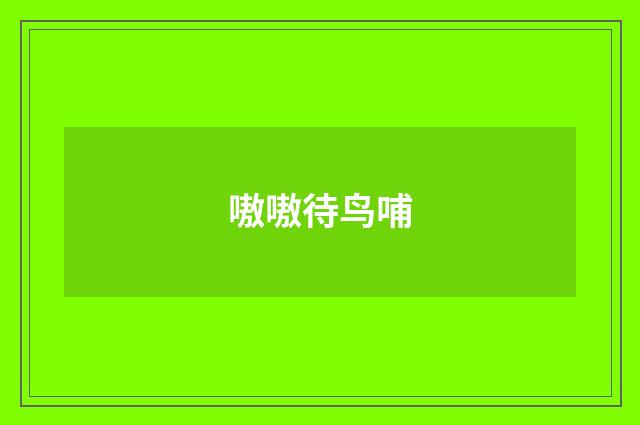 嗷嗷待鸟哺