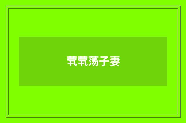 茕茕荡子妻