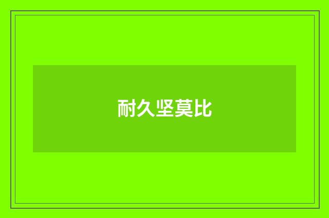 耐久坚莫比