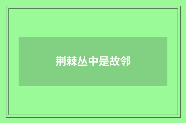 荆棘丛中是故邻