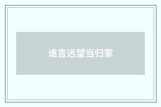 谁言远望当归家