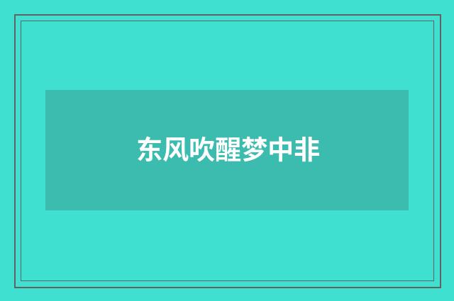 东风吹醒梦中非