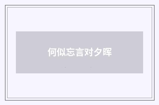 何似忘言对夕晖