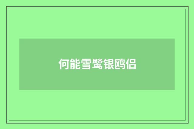 何能雪鹭银鸥侣