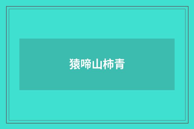 猿啼山柿青