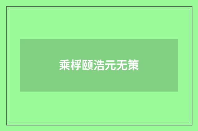 乘桴颐浩元无策