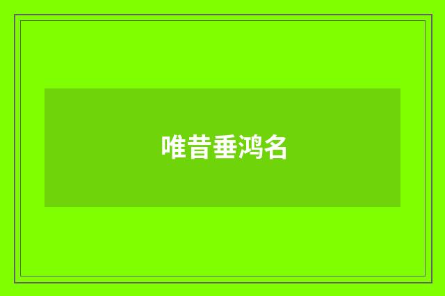 唯昔垂鸿名