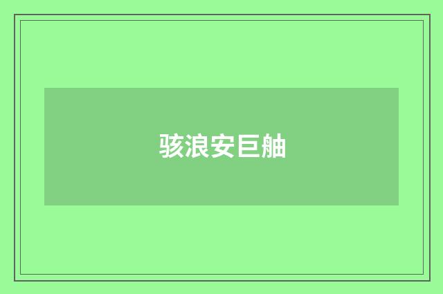 骇浪安巨舳