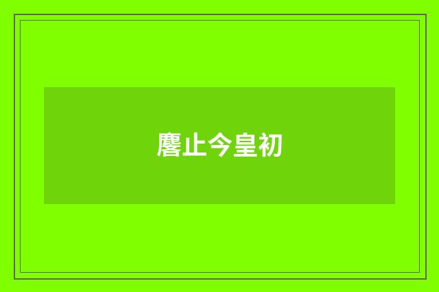 麐止今皇初