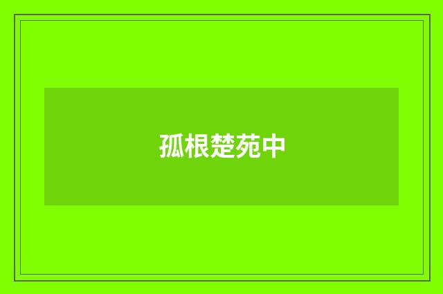 孤根楚苑中