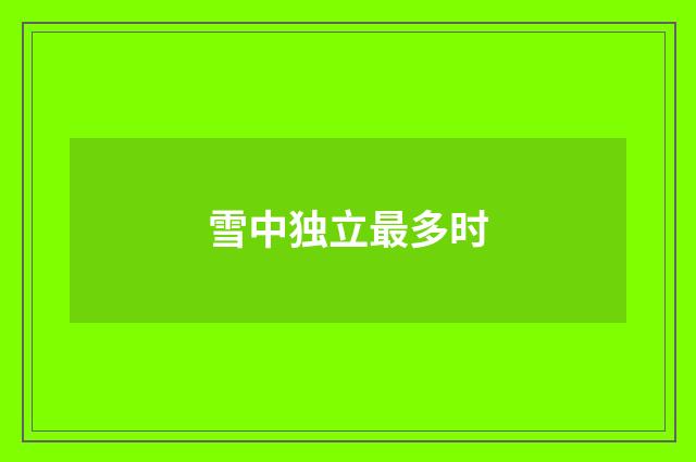 雪中独立最多时