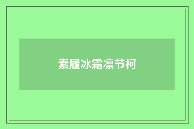 素履冰霜凛节柯