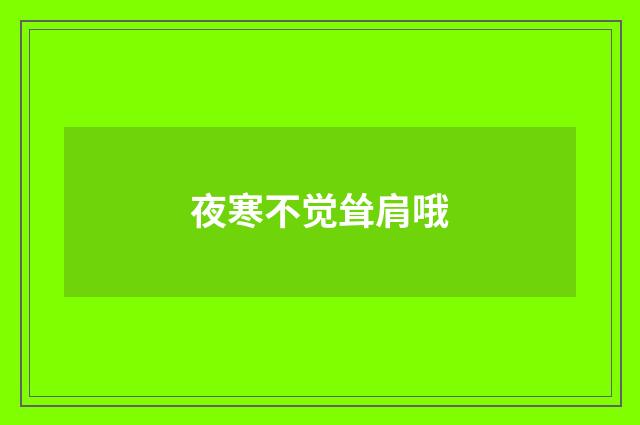 夜寒不觉耸肩哦
