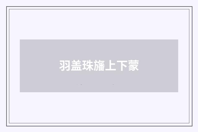 羽盖珠旛上下蒙