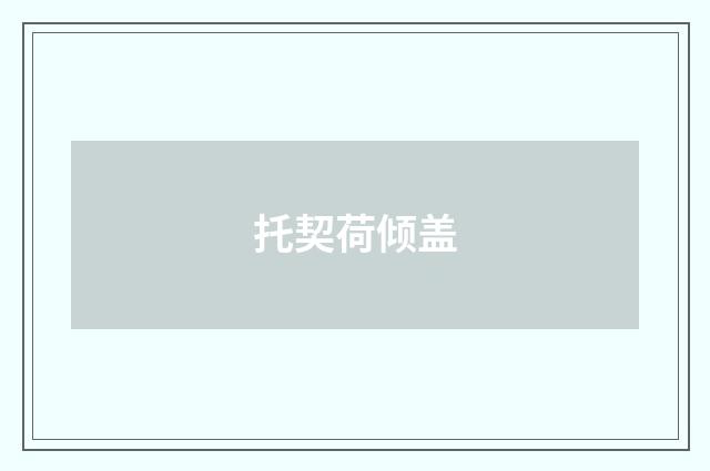 托契荷倾盖