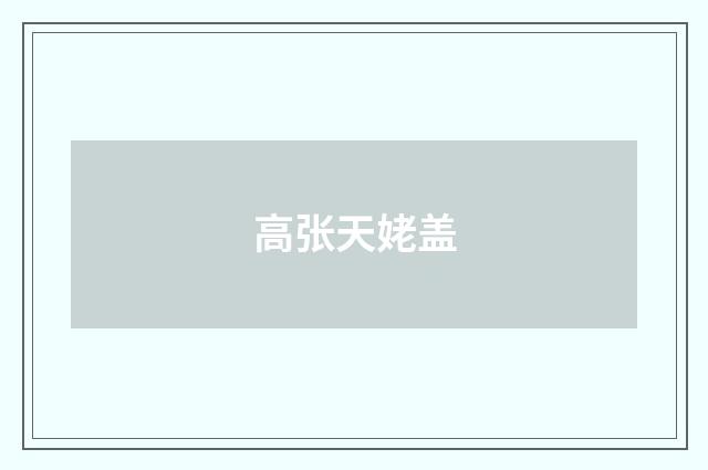 高张天姥盖
