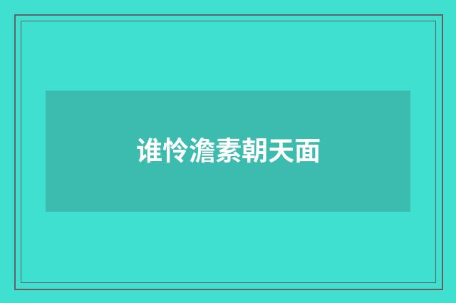谁怜澹素朝天面