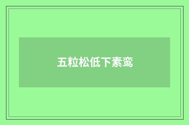 五粒松低下素鸾