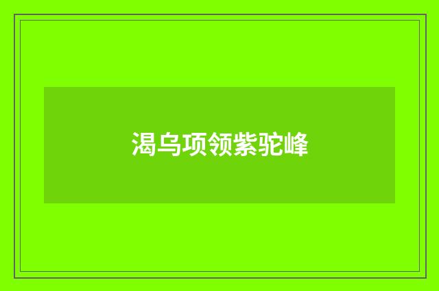 渴乌项领紫驼峰
