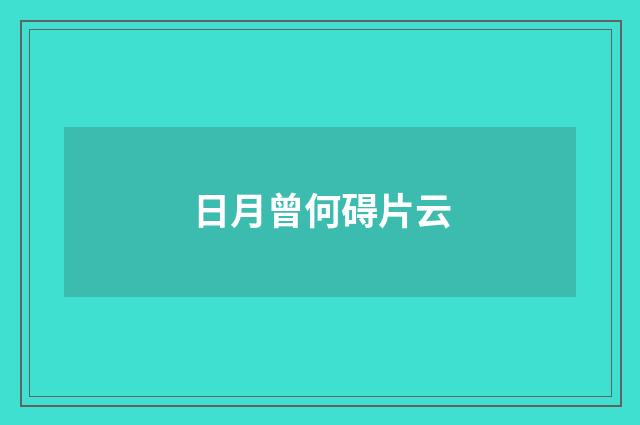 日月曾何碍片云
