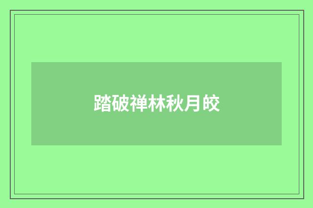 踏破禅林秋月皎