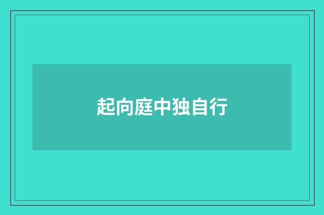 起向庭中独自行