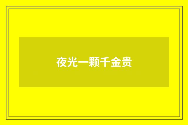夜光一颗千金贵