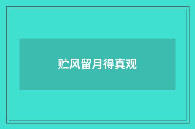 贮风留月得真观