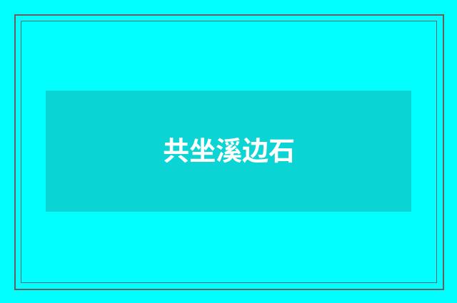 共坐溪边石