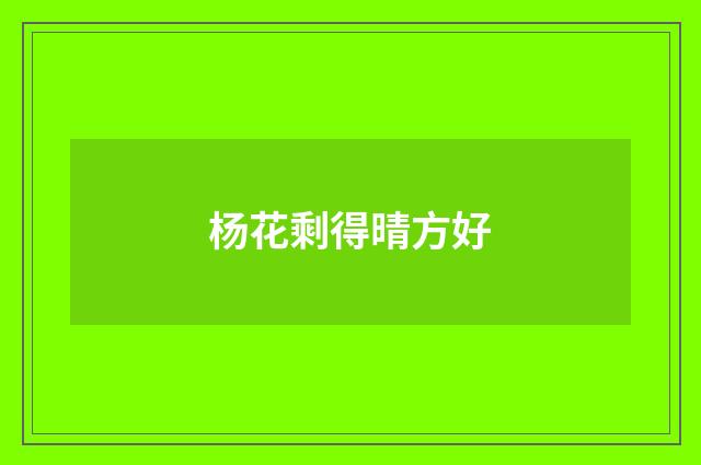 杨花剩得晴方好