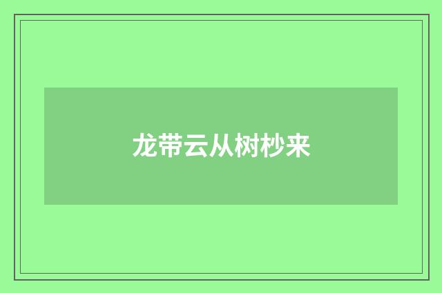 龙带云从树杪来