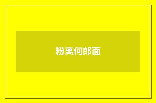 粉离何郎面