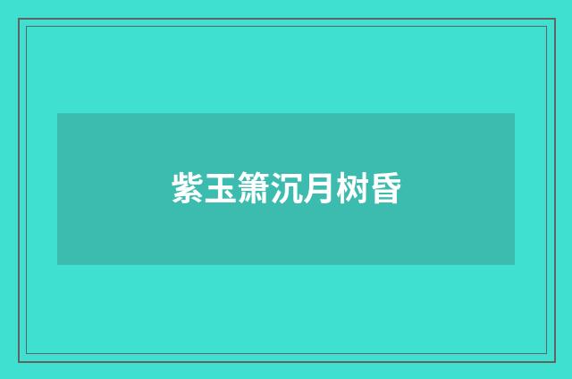 紫玉箫沉月树昏