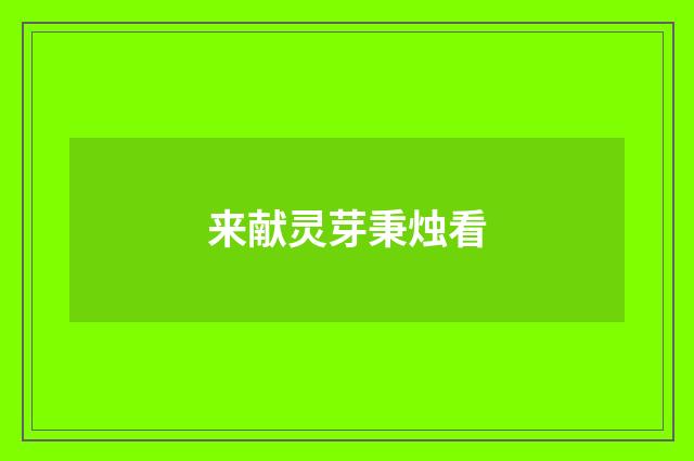 来献灵芽秉烛看
