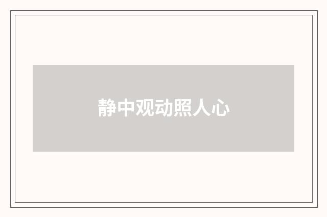 静中观动照人心